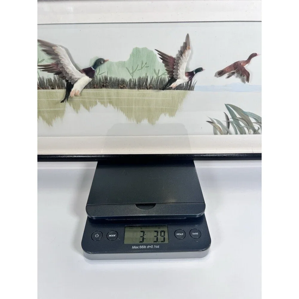 Flying Ducks Wall Decor Vintage Feather Art‎ Shadowbox 3D Framed Marshland scene
